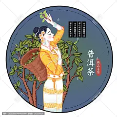 云南傣族采茶女普洱茶包装插画