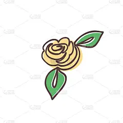 在线画玫瑰花。孤立的矢量图。手绘极简主义风格的植物。