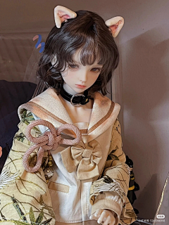梦游的夏目采集到bjd