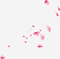 中式传统文艺漂浮花瓣粉色 页面网页 平面电商 创意素材