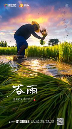 不会后空翻er采集到谷雨