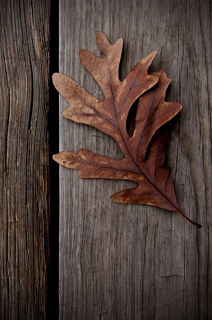 细节意象配图灵感素材
