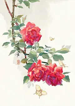 @落棋成局 作品 未经授权禁止使用