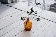 白色木质背景上的棕色玻璃花瓶(瓶子)中的桉树枝