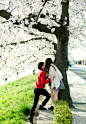 抱拥着水月镜花般爱情的人，也许不可理喻，却分外美丽。

微博分享长腿叔叔 

日本の旅拍：http://weibo.com/owenxu7
