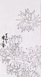 从白描到创作———陈子奋花鸟画合集