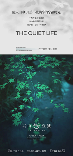 蜡笔小J采集到海报-价值点