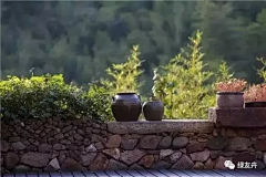 BTantalus采集到乡村公建