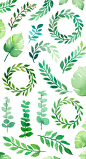 Watercolor Graphics Pack / saint patrick's day / st patricks day / st paddy / st patty / green / foliage / leaves