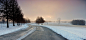 #采集大赛#树,冬季,道路,雪,风景壁纸
