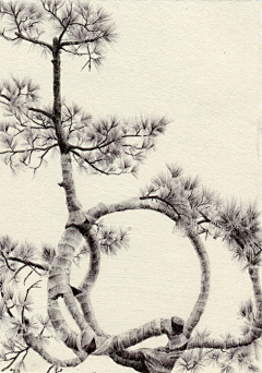 現實設繪-leading采集到Dina Brodsky 圆珠笔绘画《Trees》