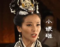 刘涛-芈月传-小婊砸表情包