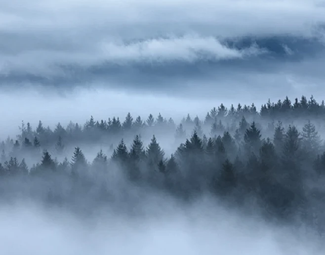 Dark morning fog