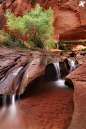Coyote Falls in Utah