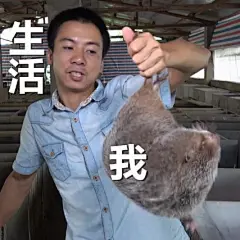 #竹鼠表情包#  #吃竹鼠的一百种理由#  #华农兄弟# 
@华农兄弟  今天又是新鲜出锅的竹鼠呢~ 饿了 ​​​​