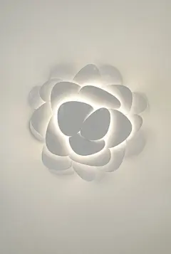 wall flower by ultralighting@北坤人素材