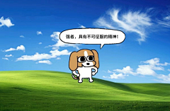 小样（杨）采集到素材
