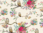animals-background-background-repeat-beautiful-cute-Favim.com-146511.jpg (500×390)