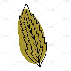 用树叶手绘的涂鸦。植物叶矢量在线条艺术或轮廓风格