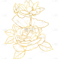 植物通用金色线条花朵元素素材