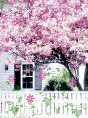 手机樱花动态壁纸_手机壁纸动态手机壁纸