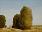 Marc Bohne Palouse Windbreak, 22 x 26 inches, oil on canvas