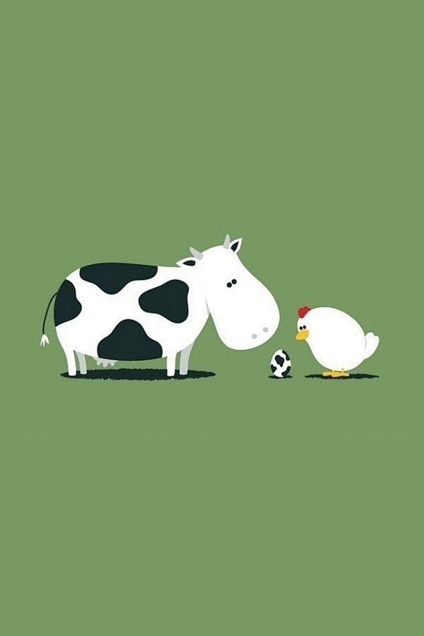 奶牛与母鸡
