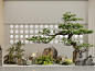 新中式植物景观造景 景观小品 景观树【ID:1144096358】