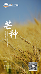 手机海报，运营海报