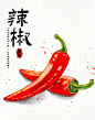 iPad水彩之蔬菜篇️_4_菲菲_来自小红书网页版