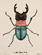 URBAN BUGS穿衣服的昆虫-城市的错误 [11P]-美术插画