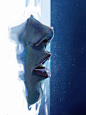 Looks like an intriguing image for a book cover. Sci-fi, perhaps?: 