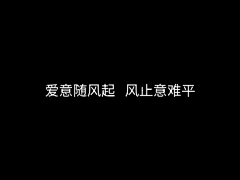 不会睡觉的鱼采集到文案