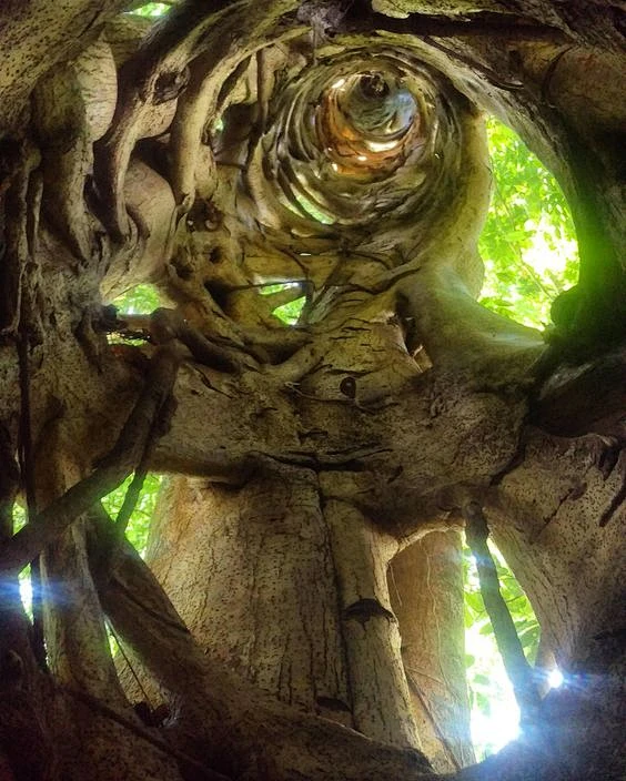 Winding Tree图片_场景电影图片素材-花瓣网