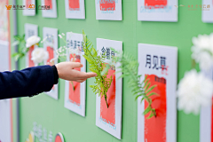 linxiaoting采集到H活动