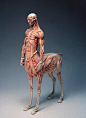 日本艺术家木下雅雄（Masao Kinoshita）的惊人雕塑作品，神话和幻想生物的解剖学结构～ 看起来非常的合理和系统～他的创作材料包括木材、石膏、石、铜和粘土等～
