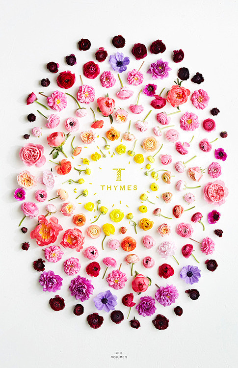 Thymes 2014

Ann Mer...