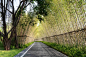 IAPA新作 | 都市微山林-保利和悦滨江景观设计