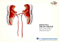 World Kidney Day projects | Behance 上的照片、视频、徽标、插图和品牌
