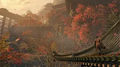 高清壁纸 (42)