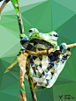 SnapTri-三棱萌宠
三棱印象（SnapTri）出品
详情关注微博：http://weibo.com/snaptri(  每日更新)
关注公众账号：SnapTri(每日更新,并可回复获得无水印图片)
#三角# #动物# #青蛙# #海报#