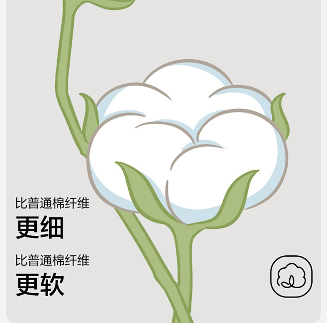 有棵树C级女士内裤纯棉全棉裆抗菌中腰日系...