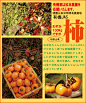 Yuukiya | 日本乐天市场: 有机柿子，柿子松本和歌山 5 公斤 （约 20-25 件） 有机 JAS （和免费） ★ 有机