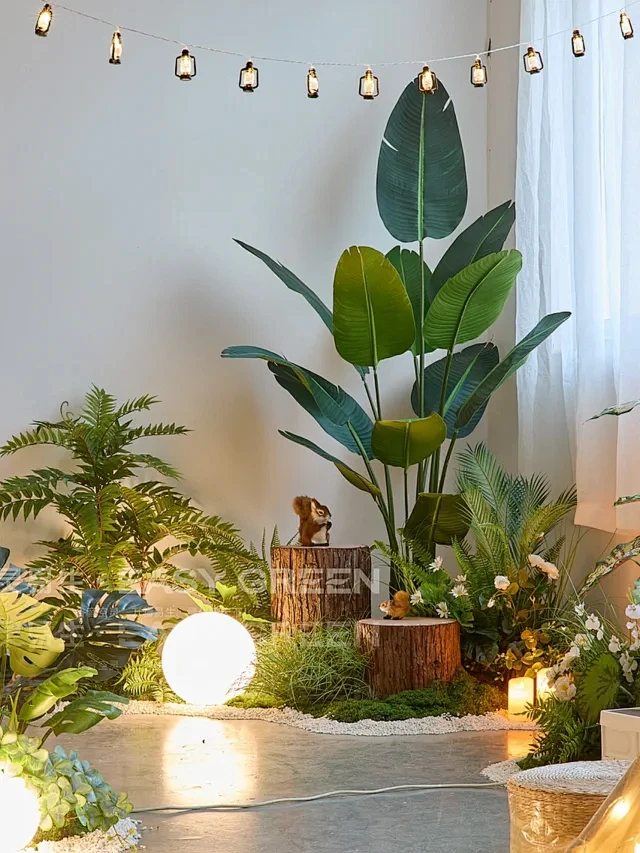 绿植造景 - 小红书搜索-花瓣网