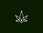 Cannabis Oil Logo Design by Al-Ghaniy on Dribbble