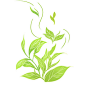 卡通绿色茶叶素材茶文化采茶茶叶