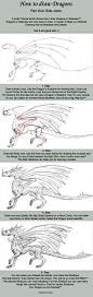 How to Draw Dragons .: 