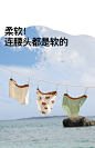 ubras旗下likeuu儿童内裤男女童小熊印花抗菌透气女童内裤三条装-tmall.com天猫
