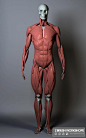 人体绘画教材 -【人人分享-人人网】