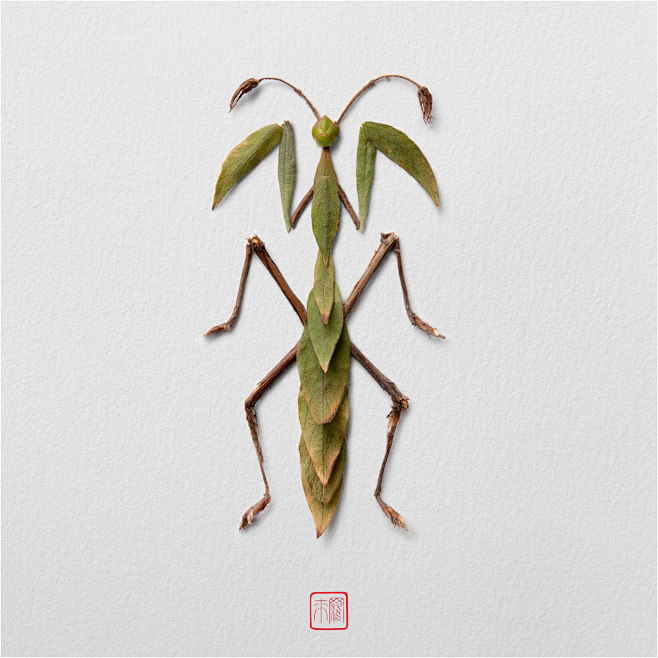 NATURA INSECTS 一系列手工...